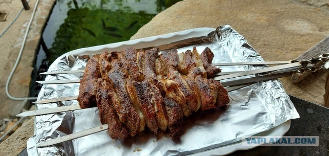 #ДРЯПикник2021! Компот из мяса.