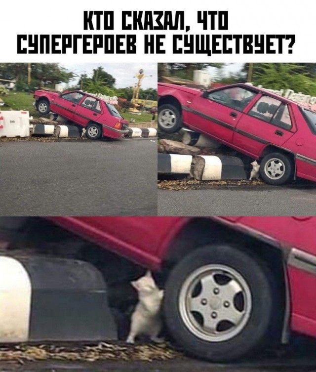 Картинки и мемы для настроения 09.06.2021