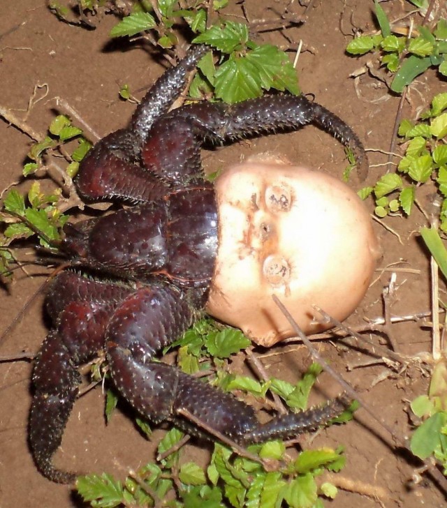 35 картинок разных 16.07.2021