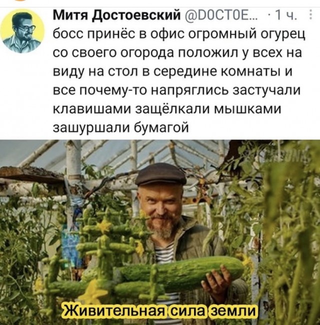 Картинки и мемы для настроения 020