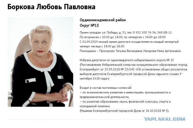 73-летняя глава молодёжной комиссии Екатеринбурга «не понимает» интернет и считает причиной стрельбы в Перми видеоигры