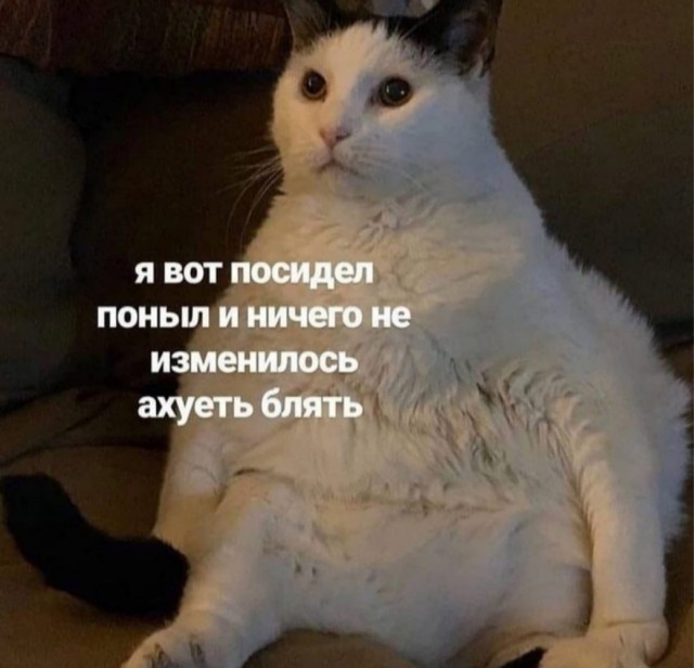 Весёлый полтишок 04.10