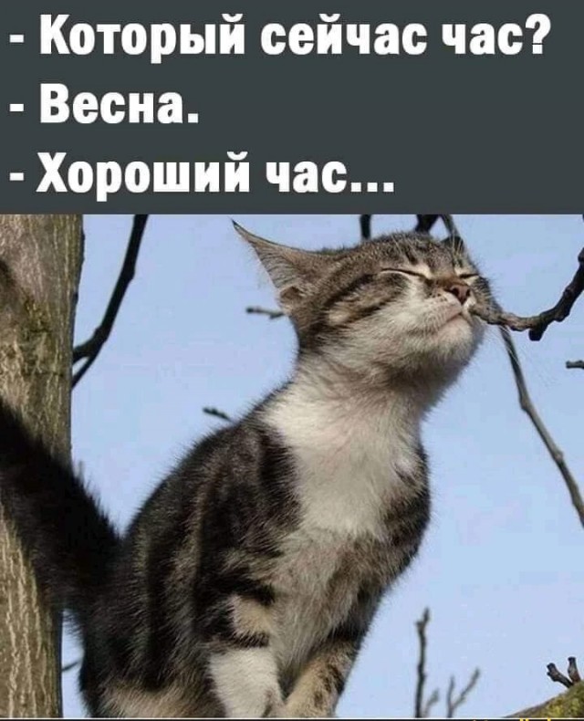 Немного картинок и прочей хреноты Vol. 4