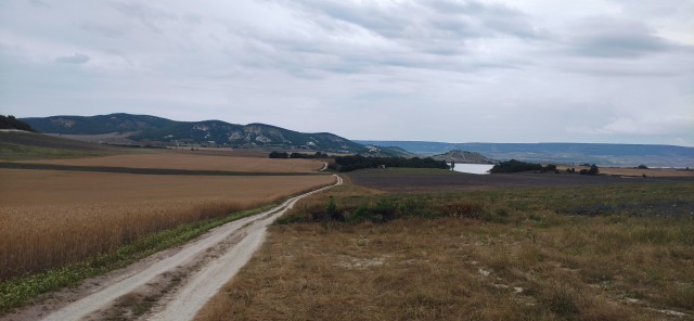 Как в Крыму насчёт отдыха в этом году?