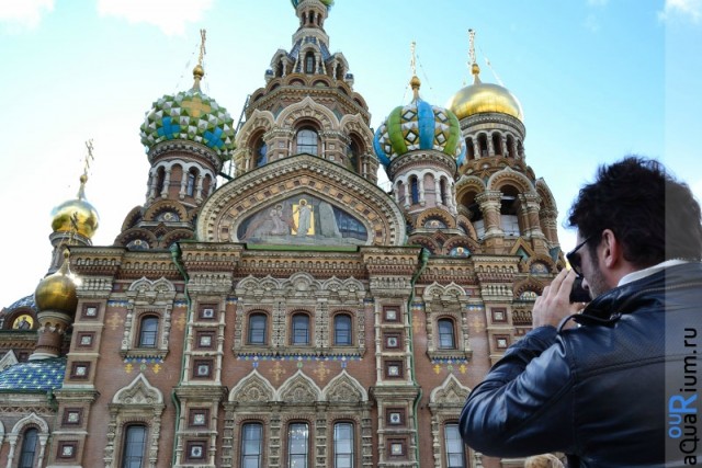 СПб глазами уставшего туриста...