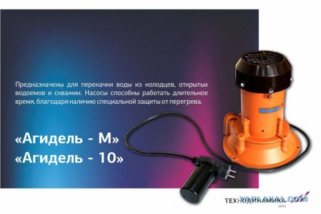 Знакомьтесь! Илона Маркова