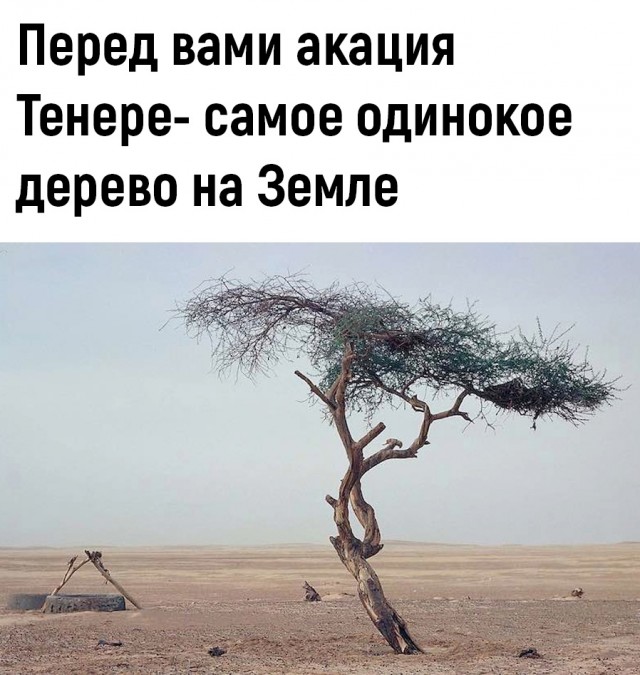 Так себе картинки 18.10.22