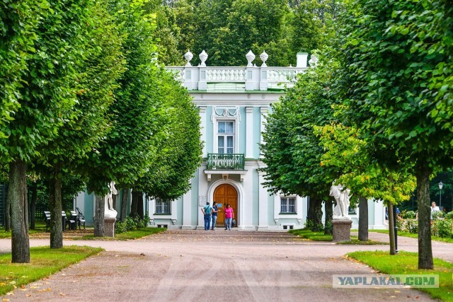 Преображение усадьбы Кусково