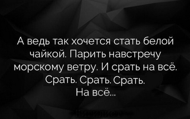 Баянистых и не очень картинок