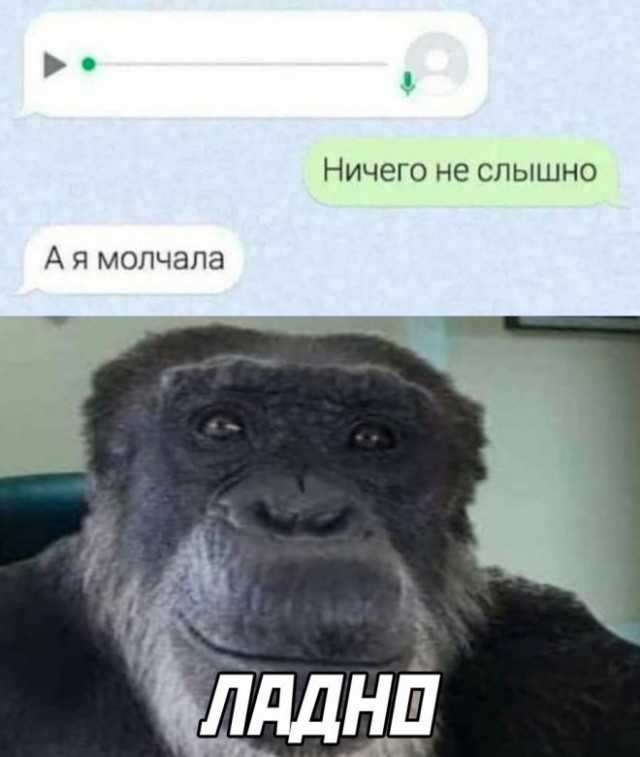 Немного картинок для настроения - 131