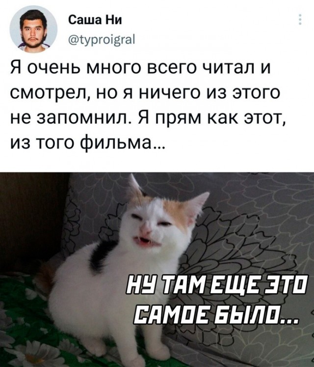 Картинки и мемы для настроения - 125