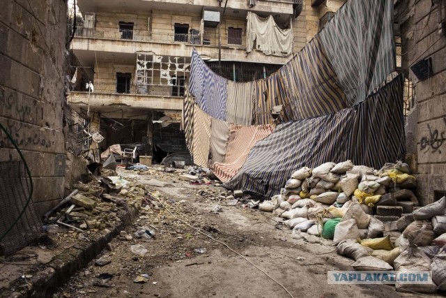 Есть ли жизнь в Алеппо?