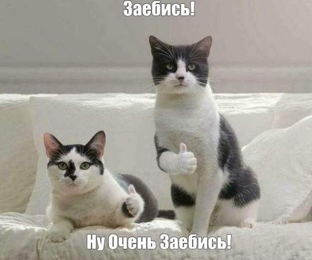 Поможем Украине, славяне? Италия, Милан...