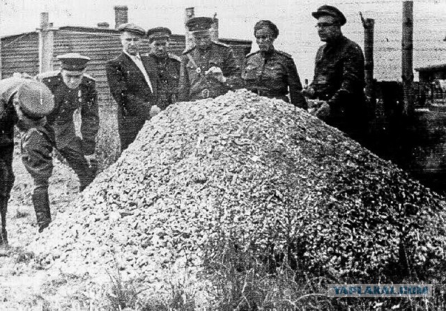 Концлагеря и цифры. Страшные цифры.
