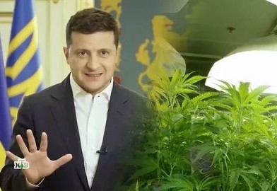 Зеленский вновь выступил за легализацию лекарств на основе каннабиса