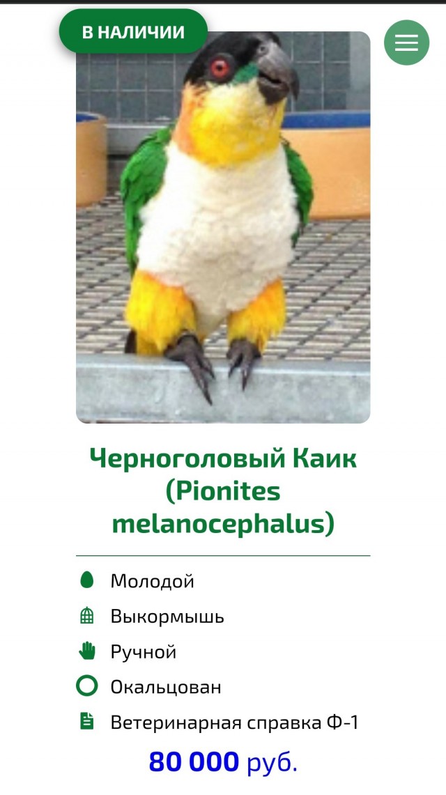 Пора принять освежающий душ