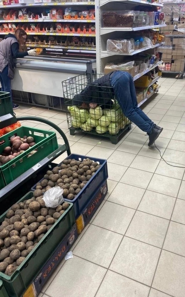 Отряд быстрого деградирования