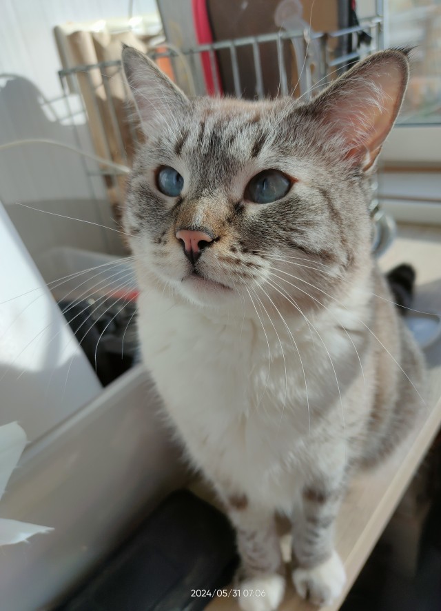 Пох, что не фторник..