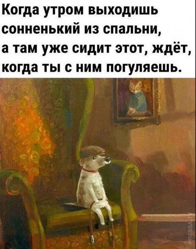 Прикольные и просто красивые картинки 28.06.2024