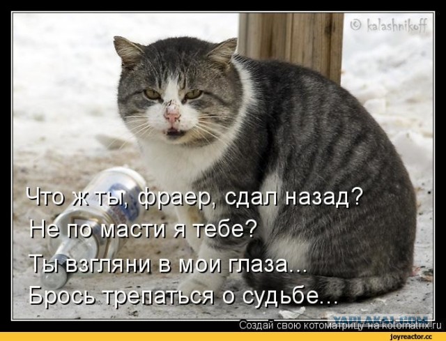 Макрон сдал назад и отказался нырять в фекальные воды реки Сена в Париже