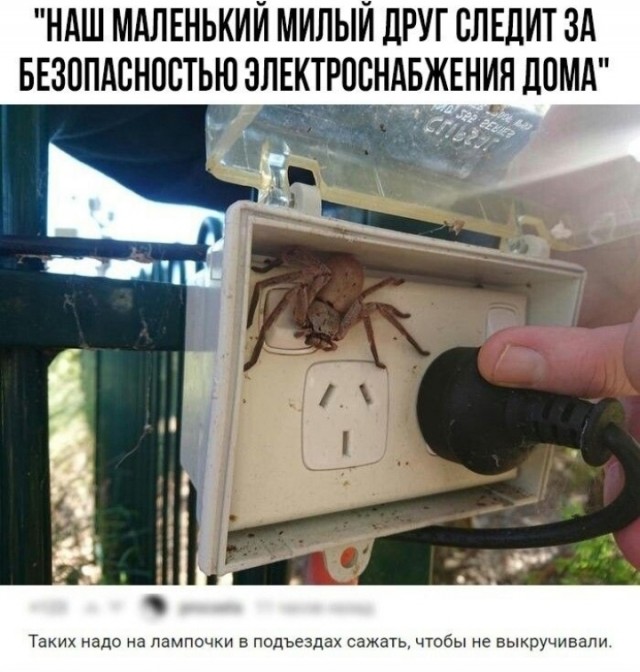 Завалялось тут случайно немного забавных картинок