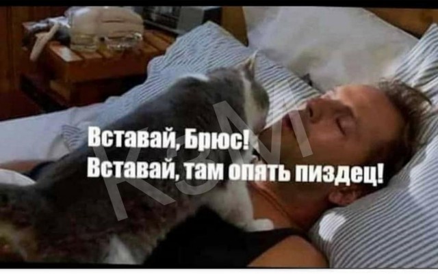 Нуштош 17.01.2025. Чем кажутся совы (s3e2)