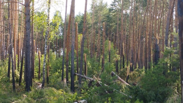 Литературная беседка v.1