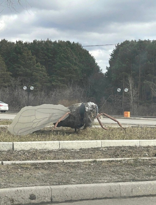 Жители Ишима пожаловались на «грязную муху» у вокзала