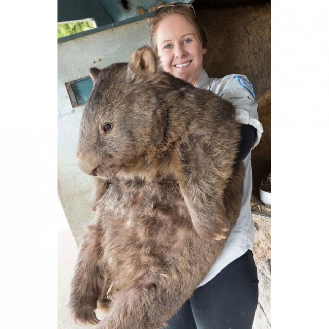 Литературная беседка v.1