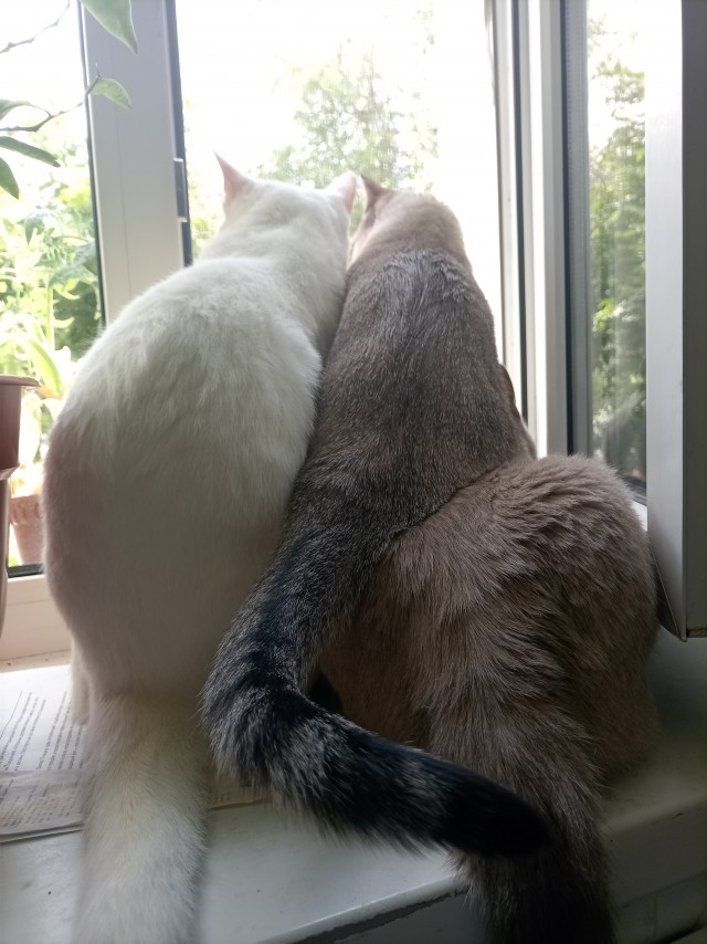 Заряд позитива: взгляните на 25 самых забавных снимков