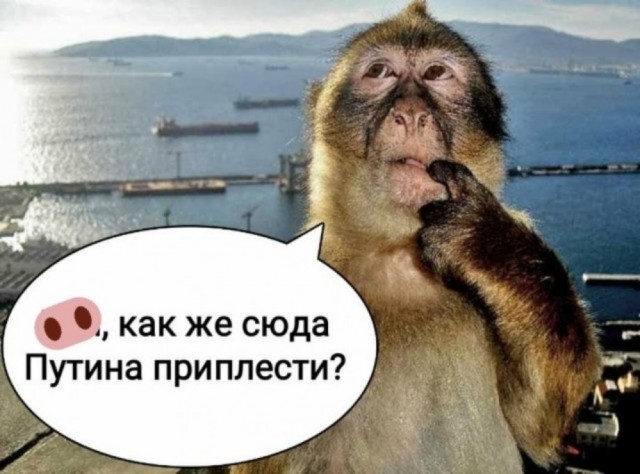 Премьер Дании принесла извинения гренландкам за принудительную контрацепцию