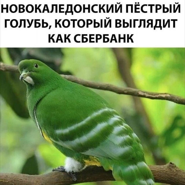 Не ленитесь!
