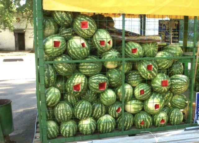 Дыня