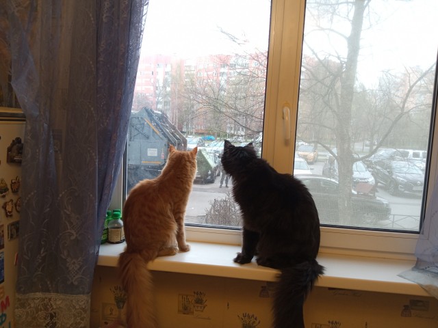Наша Управляющая Компания