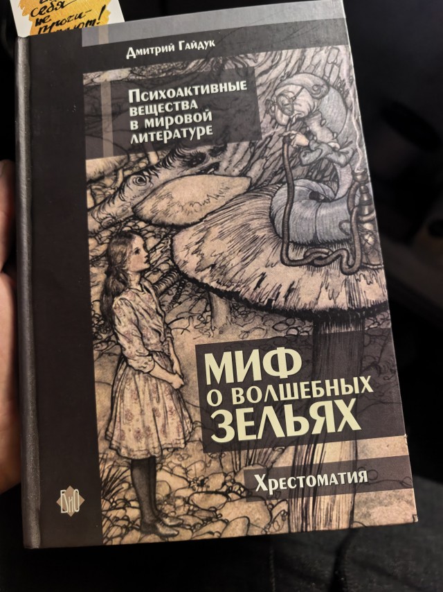 Степашин рассказал, можно ли хранить дома изъятые из продажи книги