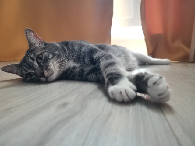Скажите еще, что у вас не так...