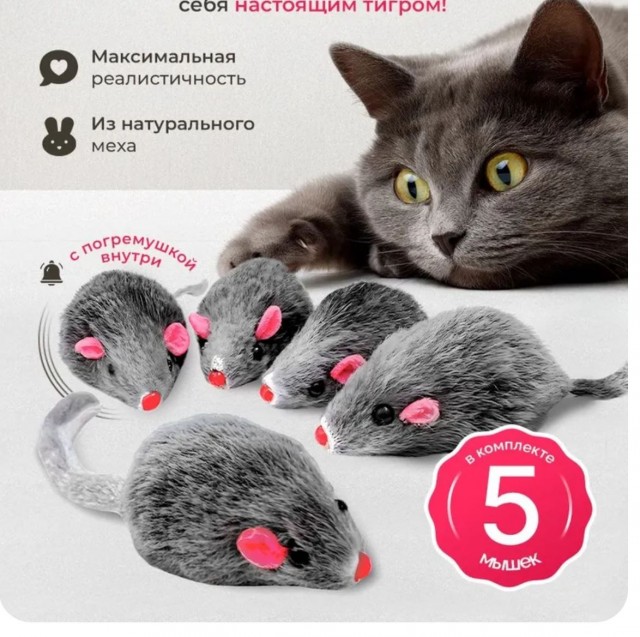 Кот сменил прошивку