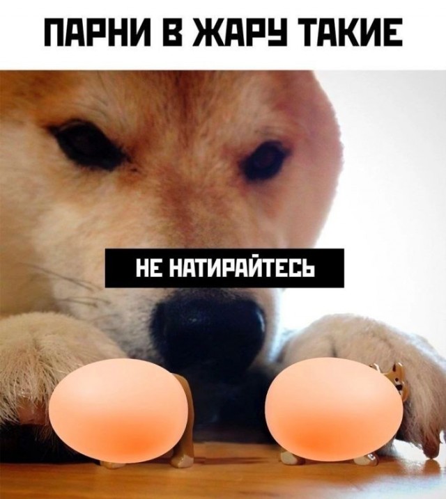 Картинки для деградации 233 (разной степени свежести)
