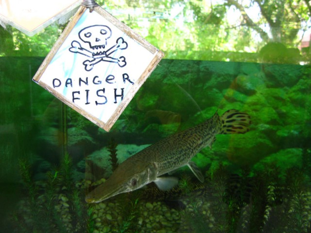 Обитель зла!