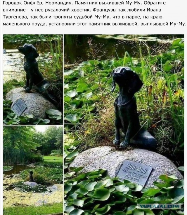 Критическое мышление от Владимира Жириновского.