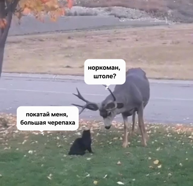 И ты это.