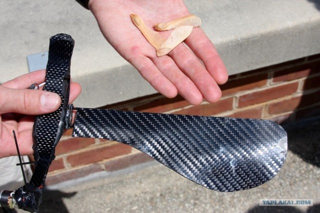 Уникальный беспилотник в виде кленового семени