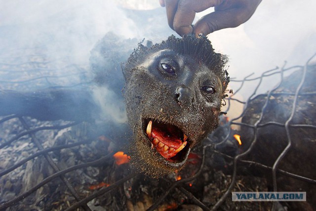 Доку Умаров намерен атаковать олимпийские объекты