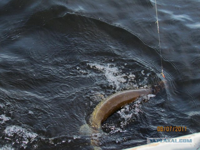 Как я отдыхаю