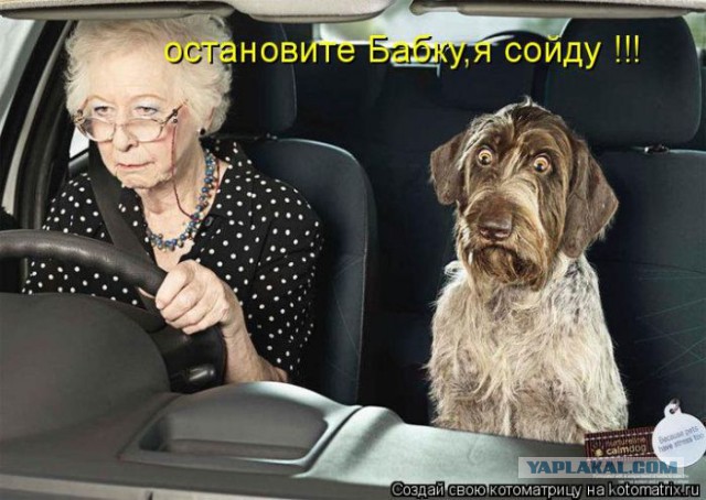 Весёлые картинки. Разбавим будни