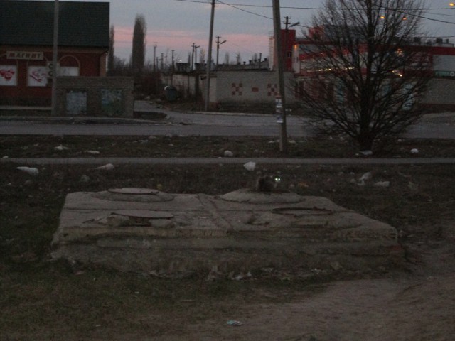 Жизнь домашнего приюта для котеек 4