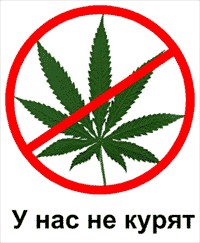 Новогодний подарок