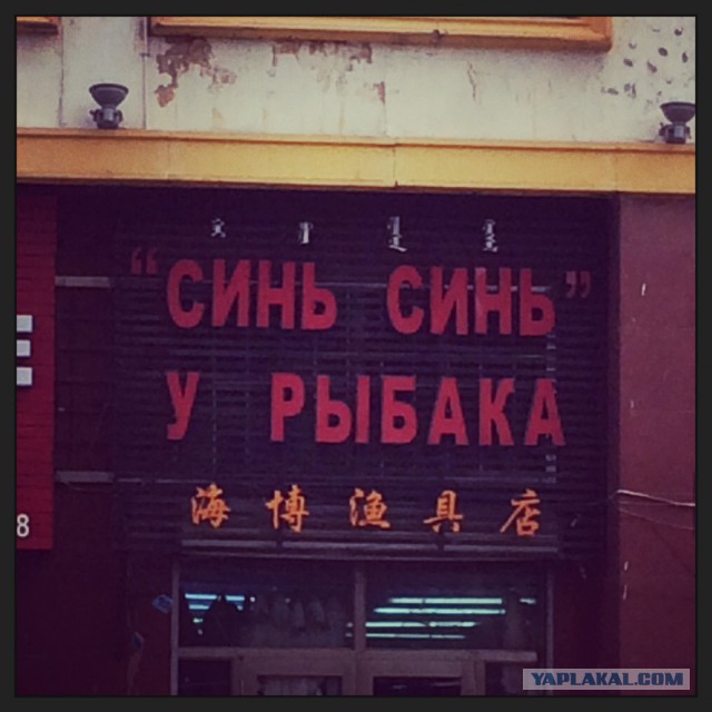 Просто забавные фотки из мобильника