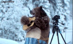 А как Вы воспитываете своего медведя?