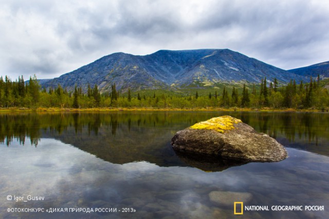 National Geographic,избранное...